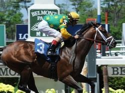 Met Mile Handicap .